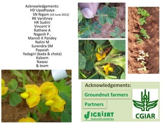 Groundnut improvement: Use of genetic and genomic tools