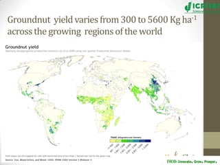 Groundnut improvement: Use of genetic and genomic tools