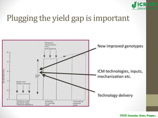 Groundnut improvement: Use of genetic and genomic tools