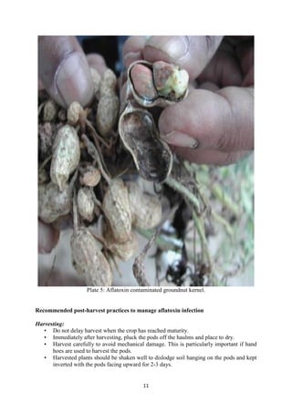 Handbook on improved agronomic practices of groundnut production in North East Nigeria - Feed the Future Nigeria Integrated Agriculture Activity.