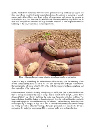 Handbook on improved agronomic practices of groundnut production in North East Nigeria - Feed the Future Nigeria Integrated Agriculture Activity.