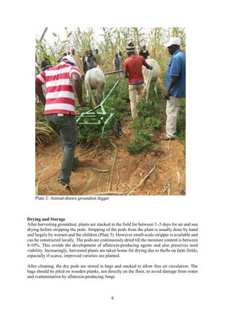 Handbook on improved agronomic practices of groundnut production in North East Nigeria - Feed the Future Nigeria Integrated Agriculture Activity.