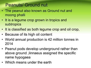 Peanuts/ Ground nut
• The peanut also known as Ground nut and
moong phalli
• It is a legume crop grown in tropics and
subtropics
• It is classified as both legume crop and oil crop,
• Because of its high oil content
• World annual production is 42 million tonnes in
2014
• Peanut pods develop underground rather than
above ground ,linnaeus assigned the specific
name hypogaea
• Which means under the earth
 