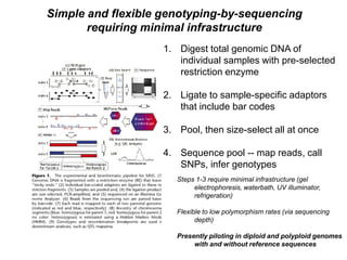 Simple and flexible genotyping-by-sequencing
       requiring minimal infrastructure
                    1. Digest total genomic DNA of
                       individual samples with pre-selected
                       restriction enzyme

                    2. Ligate to sample-specific adaptors
                       that include bar codes

                    3. Pool, then size-select all at once

                    4. Sequence pool -- map reads, call
                       SNPs, infer genotypes
                       Steps 1-3 require minimal infrastructure (gel
                            electrophoresis, waterbath, UV illuminator,
                            refrigeration)

                       Flexible to low polymorphism rates (via sequencing
                             depth)

                       Presently piloting in diploid and polyploid genomes
                            with and without reference sequences
 