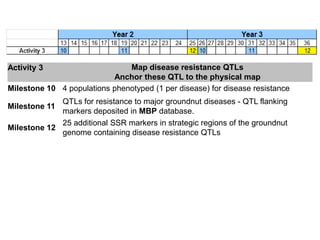 Activity 3                     Map disease resistance QTLs
                           Anchor these QTL to the physical map
Milestone 10 4 populations phenotyped (1 per disease) for disease resistance
             QTLs for resistance to major groundnut diseases - QTL flanking
Milestone 11
             markers deposited in MBP database.
             25 additional SSR markers in strategic regions of the groundnut
Milestone 12
             genome containing disease resistance QTLs
 