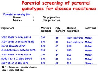 Parental screening of parental
                 genotypes for disease resistance
 Parental screening for
         Malawi            :       Six populations
         Niamey            :       One population


Populations                       Markers     Poly.   Disease        Locations
                                  screened    markers resistance

ICGV 93437 X ICGV 94114           510         36      Rust resistance Malawi
ICGV 93437 X ICGVSM 95342         510         30      Rust resistance Malawi
CG7 X ICGVSM 90704                510         63      GRD            Malawi
CHALIMBANA X ICGVSM 90704         510         9       GRD            Malawi
ICGV 93437 X ICGV 95714           510         24      ELS            Malawi
ROBUT 33-1 X ICGV 95714           510         31      ELS            Malawi
ICGV 86124 X ICG 7878             510         62      ELS            Niamey
GRD : Groundnut rosette disease
ELS : Early leaf spot
 