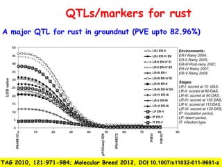 QTLs/markers for rust
A major QTL for rust in groundnut (PVE upto 82.96%)

                                                            Environments:
                                                            ER-I Rainy 2004,
                                                            ER-II Rainy 2005,
                                                            ER-III Post-rainy 2007,
                                                            ER-IV Rainy 2007,
                                                            ER-V Rainy 2008.

                                                            Stages:
                                                            LR-I: scored at 70 DAS,
                                                            LR-II: scored at 80 DAS,
                                                            LR-III: scored at 90 DAS,
                                                            LR-IV: scored at 105 DAS,
                                                            LR-V: scored at 113 DAS,
                                                            LR-VI: scored at 120 DAS,
                                                            IP: incubation period,
                                                            LP: latent period,
                                                            IT: infection type.




TAG 2010, 121:971-984; Molecular Breed 2012, DOI 10.1007/s11032-011-9661-z
 
