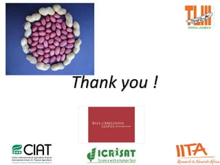 Thank you !
 