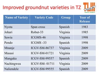 Improved groundnut varieties in TZ
Name of Variety Variety Code Group Year of
Release
Nyota Span cross Spanish 1983
Johari Robut-33 Virginia 1985
Sawia ICGMS-46 Virginia 1998
Pendo ICGMS -33 Spanish 1998
Mnanje ICGV-SM-86737 Virginia 2009
Masasi ICGV-SM-01721 Virginia 2009
Mangaka ICGV-SM-99557 Spanish 2009
Nachingwea ICGV-SM- 01711 Virginia 2009
Naliendele ICGV-SM-99555 Spanish 2009
 