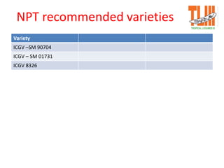 NPT recommended varieties
Variety
ICGV –SM 90704
ICGV – SM 01731
ICGV 8326
 