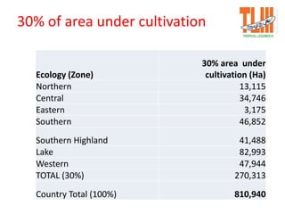 30% of area under cultivation
Ecology (Zone)
30% area under
cultivation (Ha)
Northern 13,115
Central 34,746
Eastern 3,175
Southern 46,852
Southern Highland 41,488
Lake 82,993
Western 47,944
TOTAL (30%) 270,313
Country Total (100%) 810,940
 