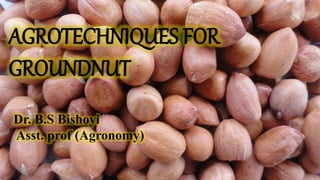 AGROTECHNIQUES FOR
GROUNDNUT
Dr. B.S Bishoyi
Asst. prof (Agronomy)
 