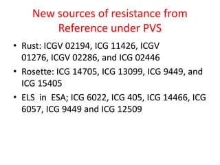 New sources of resistance from
        Reference under PVS
• Rust: ICGV 02194, ICG 11426, ICGV
  01276, ICGV 02286, and ICG 02446
• Rosette: ICG 14705, ICG 13099, ICG 9449, and
  ICG 15405
• ELS in ESA; ICG 6022, ICG 405, ICG 14466, ICG
  6057, ICG 9449 and ICG 12509
 
