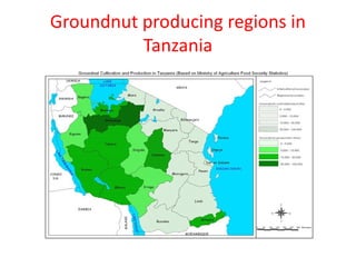 Groundnut producing regions in
          Tanzania
 
