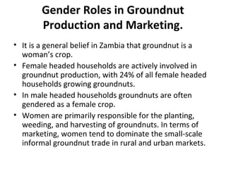 Gender Roles in Groundnut
Production and Marketing.
• It is a general belief in Zambia that groundnut is a
woman’s crop.
• Female headed households are actively involved in
groundnut production, with 24% of all female headed
households growing groundnuts.
• In male headed households groundnuts are often
gendered as a female crop.
• Women are primarily responsible for the planting,
weeding, and harvesting of groundnuts. In terms of
marketing, women tend to dominate the small-scale
informal groundnut trade in rural and urban markets.
 