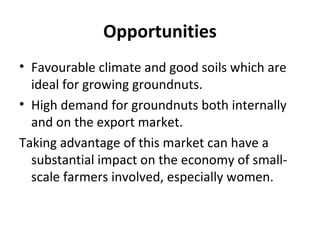 Opportunities
• Favourable climate and good soils which are
ideal for growing groundnuts.
• High demand for groundnuts both internally
and on the export market.
Taking advantage of this market can have a
substantial impact on the economy of small-
scale farmers involved, especially women.
 