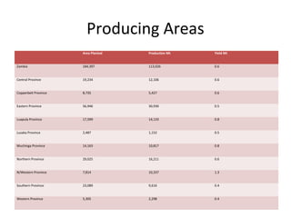 Producing Areas
Area Planted Production Mt Yield Mt
Zambia 184,397 113,026 0.6
Central Province 19,234 12,106 0.6
Copperbelt Province 8,735 5,427 0.6
Eastern Province 56,946 30,930 0.5
Luapula Province 17,599 14,133 0.8
Lusaka Province 2,487 1,152 0.5
Muchinga Province 14,163 10,817 0.8
Northern Province 29,025 16,211 0.6
N/Western Province 7,814 10,337 1.3
Southern Province 23,089 9,616 0.4
Western Province 5,305 2,298 0.4
 