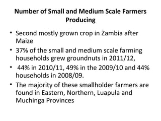 Number of Small and Medium Scale Farmers
Producing
• Second mostly grown crop in Zambia after
Maize
• 37% of the small and medium scale farming
households grew groundnuts in 2011/12,
• 44% in 2010/11, 49% in the 2009/10 and 44%
households in 2008/09.
• The majority of these smallholder farmers are
found in Eastern, Northern, Luapula and
Muchinga Provinces
 