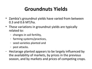 Groundnuts Yields
• Zambia’s groundnut yields have varied from between
0.3 and 0.6 MT/ha.
• These variations in groundnut yields are typically
related to:
- changes in soil fertility,
- farming systems/practices,
- seed varieties planted and
- pest attacks.
- Hectarage planted appears to be largely influenced by
the availability of markets, by prices in the previous
season, and by markets and prices of competing crops.
 