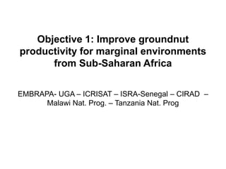 Objective 1: Improve groundnut
productivity for marginal environments
from Sub-Saharan Africa
EMBRAPA- UGA – ICRISAT – ISRA-Senegal – CIRAD –
Malawi Nat. Prog. – Tanzania Nat. Prog
 