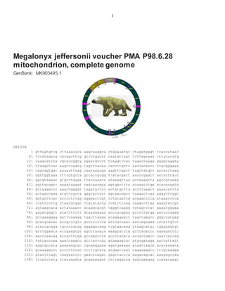 1
Megalonyx jeffersonii voucher PMA P98.6.28
mitochondrion, complete genome
GenBank: MK903495.1
ORIGIN
1 gttaatgtcg cttaaacaca aagcaaggca ctgaaaatgc ctagatgagt tcaccataac
61 tccataaaca cacagcttcg gtcctgacct taatattagt tcttagcaaa cttacacatg
121 caagcatcca cgcaccggtg agaatgccct tcaagtccac tagactaaga ggagcaggta
181 tcaagctcac aagcccaatg tagctcacaa caccttgctc aaccacaccc ccacgggaaa
241 cagcagtgat aaaaattaag caataaacga aagtttgact tagctatgct aatacctaag
301 ggttggtaaa tttcgtgcca gccaccgcgg tcatacgatt aacccgaatt aatatttacc
361 ggcgtaaaac gtgtttaaga tcaccaaaca ataaagttaa accaaaacta agccgtaaaa
421 agctgcagtc aaaataaaat caacaacgaa agtgacttta acaaatctga acacacgata
481 gctaagaccc aaactgggat tagatacccc actatgctta gccctaaact gaaacattta
541 actaaccaaa atgttcgcca gagtactact agcaacagcc taaaactcaa aggacttggc
601 ggtgcttcac acccctctag aggaacctgt cctataatcg acaaaccccg ataaacctca
661 ccatccctcg ctaatgcagc ctatataccg ccatctccag caaaccttaa agagtaccgc
721 agtaagcaca actataaacc ataagcacgt taggtcaagg tgtagcccat gagatgggaa
781 gagatgggtt acattttctt ataaaagaaa acccacgaaa gcctctatga aaccccagaa
841 gccgaaggag gatttagaag taacttaaga acagagagct taactgaacc gggccatgaa
901 gcacgcacac accgcccgtc accctcctca attcaccaac aaccagcaaa catattgtct
961 ataccacagg tgccccatag aggagacaag tcgtaacaag gtaagcatac tggaaagtgt
1021 gcttggaata atcgaagtgt agcttaaaca aaagcatctg gcttacaccc agaagatttc
1081 aacccaacag accacttcga gccagaccta gccctacata accactaact caactaccag
1141 tatcacccaa aaatcaaacc atttacccac ataaaagtat atgcgataga aattattatt
1201 aggcgccata gagaaagtac cgcaagggaa agatgaaaga acaactaaca gcacaaaata
1261 gcaaagacct acccttttac cttttgcata atgaattaac tagaaaaatc tttgcaaaga
1321 gtacttcagt taagaacccc gaacccagac gagctaccta aagacagcat aaagagccaa
1381 ttcatctatg ttgcaaaata gcgaaaagat ctttaggtag aggtgaaaag ccaaacgagc
 
