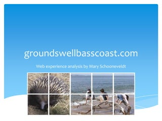 groundswellbasscoast.com
Web experience analysis by Mary Schooneveldt

 