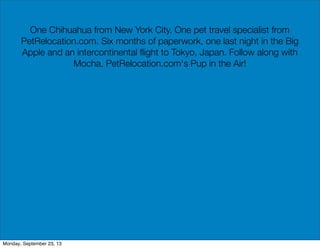 One Chihuahua from New York City. One pet travel specialist from
PetRelocation.com. Six months of paperwork, one last night in the Big
Apple and an intercontinental ﬂight to Tokyo, Japan. Follow along with
Mocha, PetRelocation.com's Pup in the Air!
Monday, September 23, 13
 