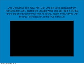 One Chihuahua from New York City. One pet travel specialist from
PetRelocation.com. Six months of paperwork, one last night in the Big
Apple and an intercontinental ﬂight to Tokyo, Japan. Follow along with
Mocha, PetRelocation.com's Pup in the Air!
Monday, September 23, 13
 