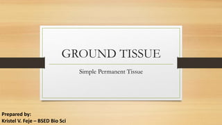 GROUND TISSUE
Simple Permanent Tissue
Prepared by:
Kristel V. Feje – BSED Bio Sci
 
