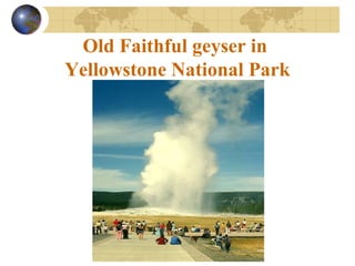 Old Faithful geyser in
Yellowstone National Park
 
