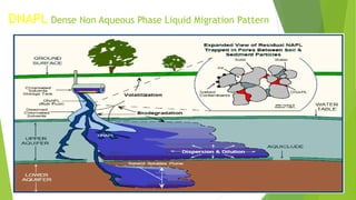 DNAPL Dense Non Aqueous Phase Liquid Migration Pattern
 