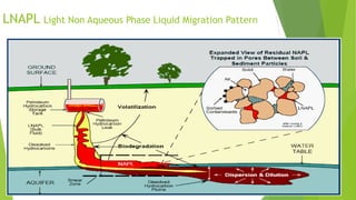 LNAPL Light Non Aqueous Phase Liquid Migration Pattern
 