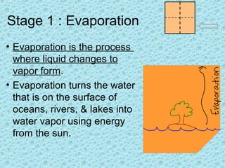 Stage 1 : Evaporation
• Evaporation is the process
where liquid changes to
vapor form.
• Evaporation turns the water
that is on the surface of
oceans, rivers, & lakes into
water vapor using energy
from the sun.

 