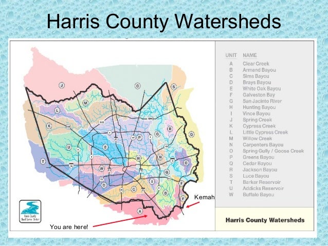 Clear Diagram Of Water Cycle Gallery - How To Guide And 