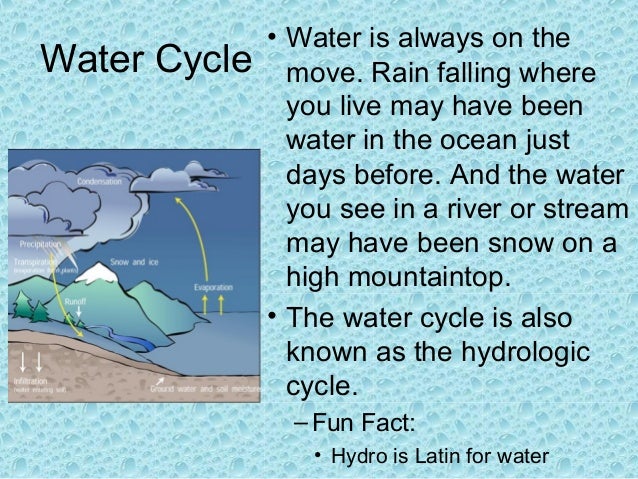 Water Cycle