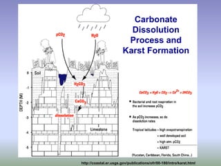 Carbonate
Dissolution
Process and
Karst Formation
http://coastal.er.usgs.gov/publications/ofr/00-180/intro/karst.html
 