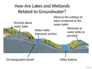 How Are Lakes and Wetlands
Related to Groundwater?
Observe the settings of
lakes compared to the
water table
Water table
intersects surface
Perched above
water table
Wetlands at
water table or
perched
On topographic bench Valley bottom
17.05.c1
 