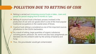 GROUND WATER POLLUTION DUE TO COIR INDUSTRIES.pptx