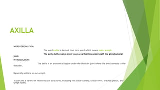 Axilla of human body | PPTX