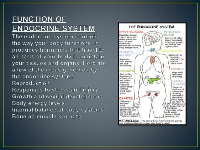 ENDOCRINE SYSTEM AND THEIR CLASSIFICATIONS OF HORMONES