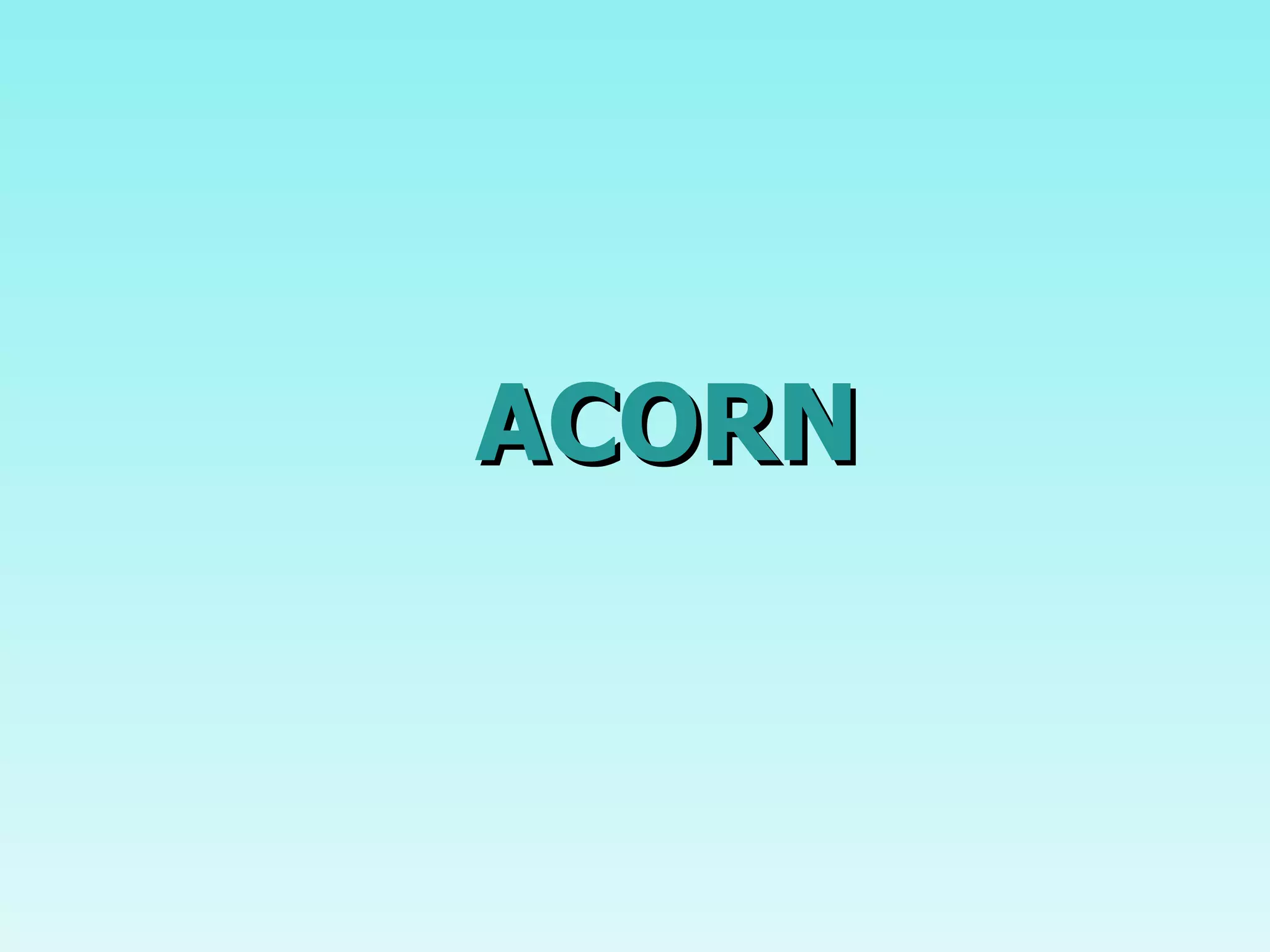 ACORN 