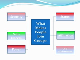 What 
Makes 
People 
Join 
Groups? 
Security 
Status 
Affiliation 
Power Goal 
Achievement 
Self- 
Esteem 
 
