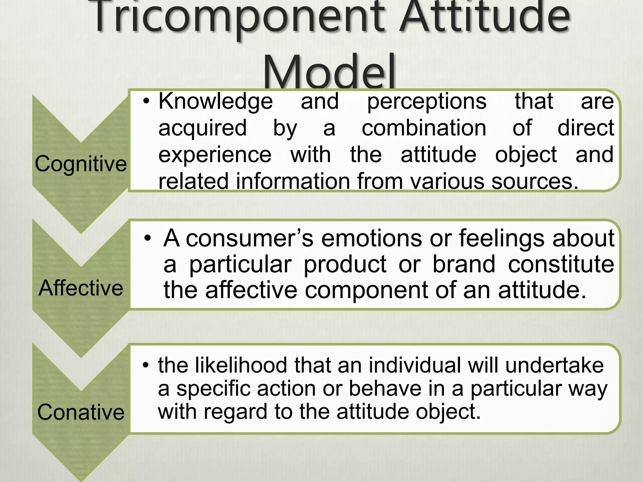 Tricomponent Attitude 
Model 
Cognitive 
• Knowledge and perceptions that are 
acquired by a combination of direct 
experience with the attitude object and 
related information from various sources. 
Affective 
• A consumer’s emotions or feelings about 
a particular product or brand constitute 
the affective component of an attitude. 
Conative 
• the likelihood that an individual will undertake 
a specific action or behave in a particular way 
with regard to the attitude object. 
 