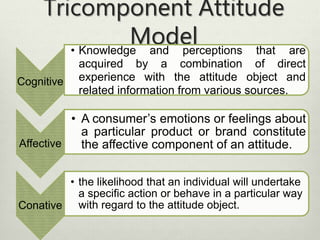 Tricomponent Attitude 
Model 
Cognitive 
• Knowledge and perceptions that are 
acquired by a combination of direct 
experience with the attitude object and 
related information from various sources. 
Affective 
• A consumer’s emotions or feelings about 
a particular product or brand constitute 
the affective component of an attitude. 
Conative 
• the likelihood that an individual will undertake 
a specific action or behave in a particular way 
with regard to the attitude object. 
 