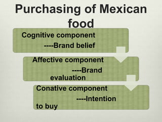 Purchasing of Mexican 
food 
Cognitive component 
----Brand belief 
Affective component 
----Brand 
evaluation 
Conative component 
----Intention 
to buy 
 