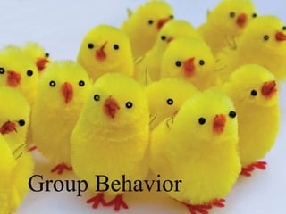 Group Behavior
 