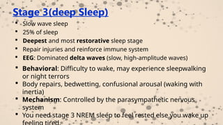 Physiology of sleep electrical activities of the brain, sleep -wake ...