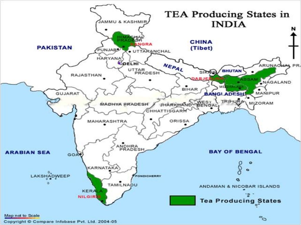 Export of Tea from India