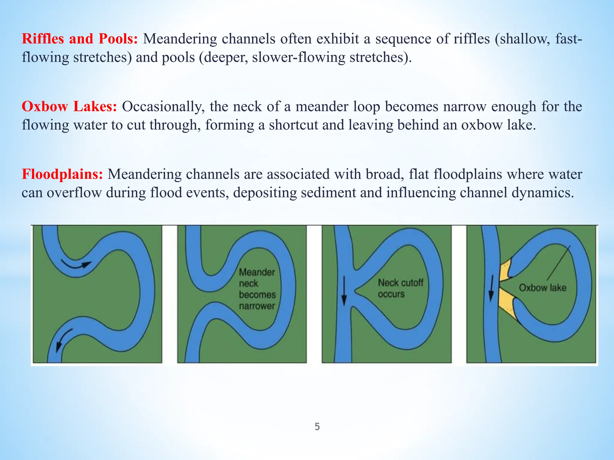 Channel dynamics of meandering, straight and braided rivers.pdf