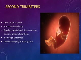 Embro development : Physiology of pregnancy | PPTX